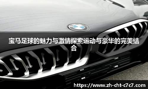 宝马足球的魅力与激情探索运动与豪华的完美结合